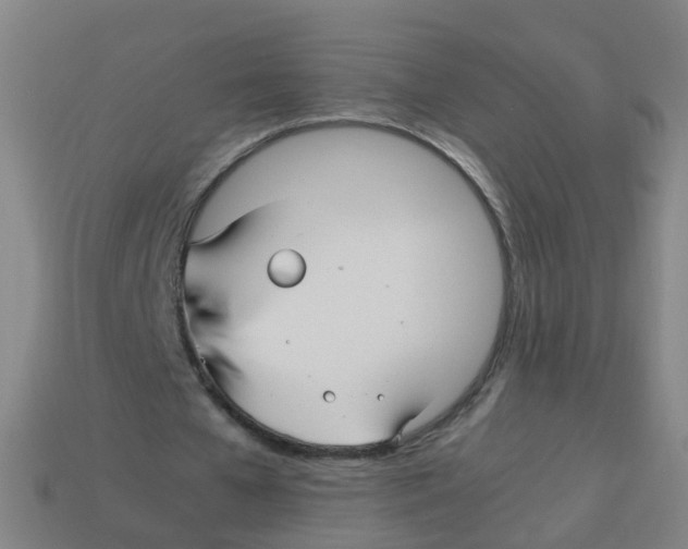 X0000113250577200910081320