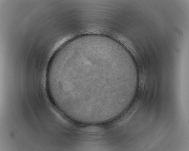 X0000113250578200910081320