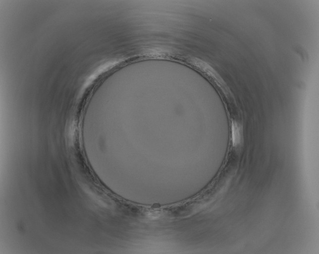 X0000113250579200910081320