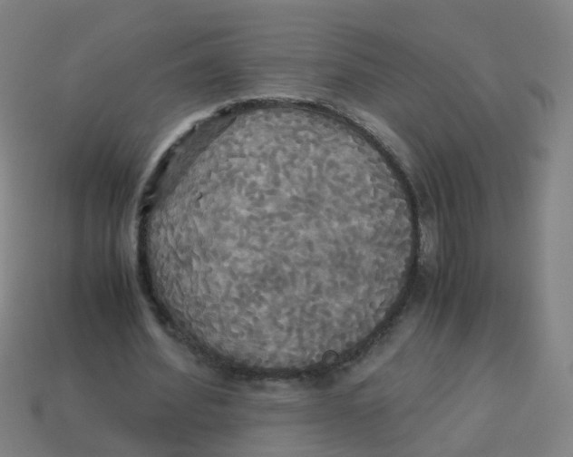 X0000113250580200910081320