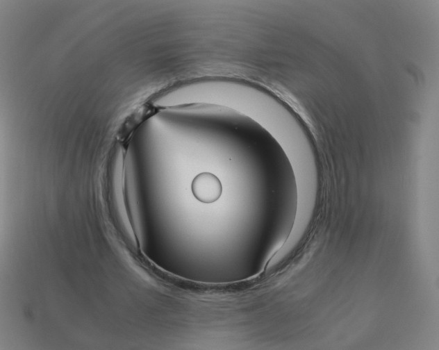 X0000113250581200910081320