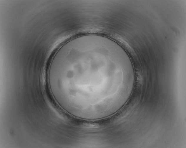 X0000113250582200910081320