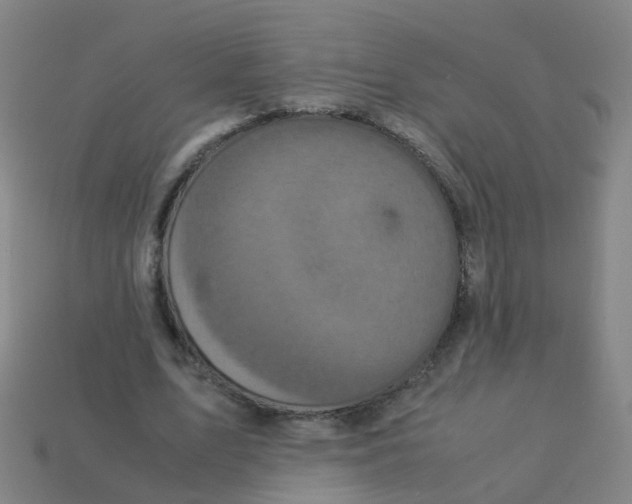 X0000113250583200910081320