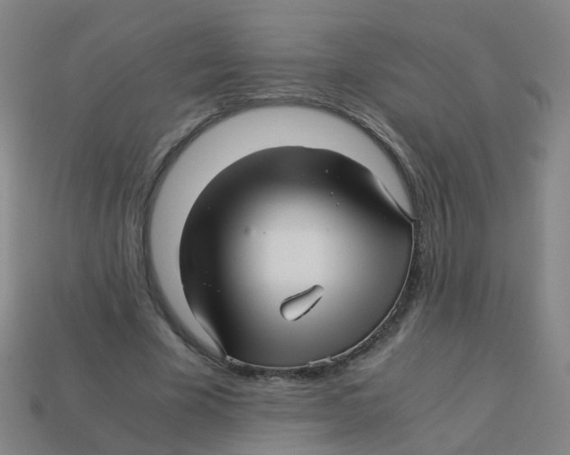 X0000113250585200910081320