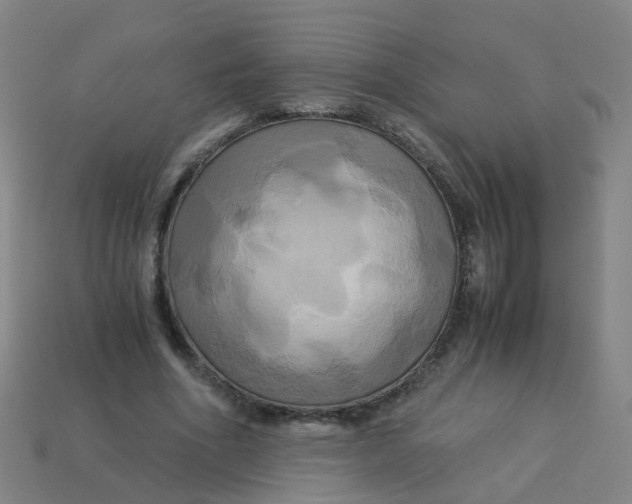 X0000113250586200910081320