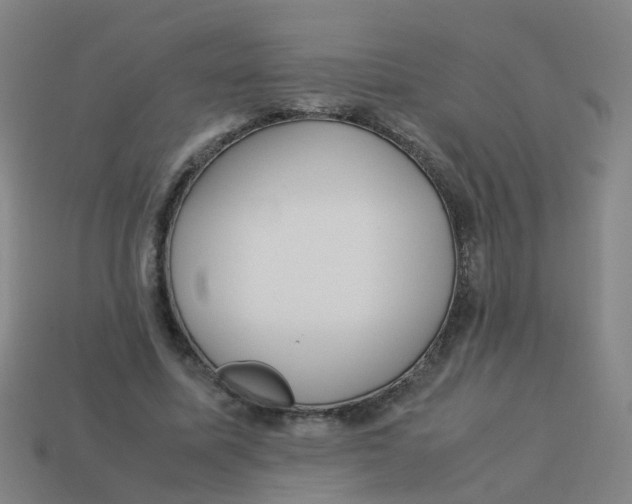 X0000113250587200910081320