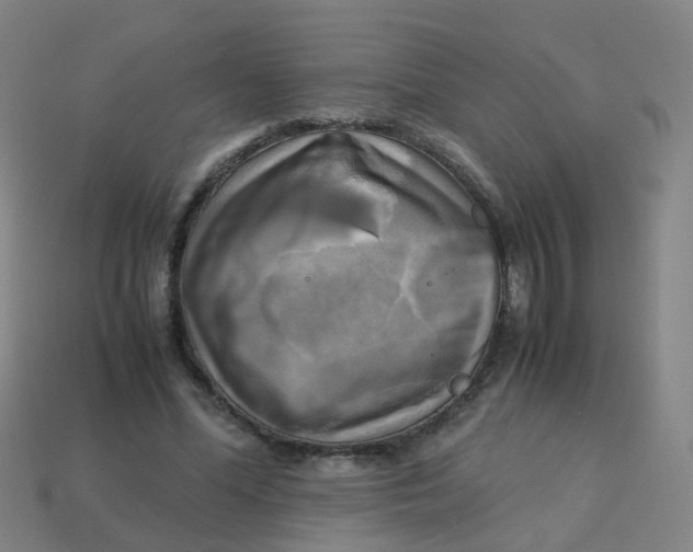 X0000113250588200910081320