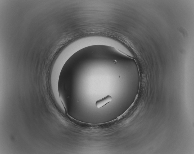 X0000113250589200910081320