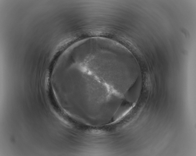 X0000113250590200910081320