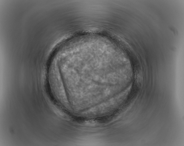 X0000113250591200910081320