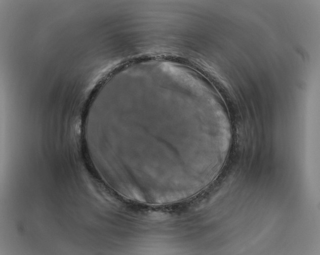 X0000113250592200910081320