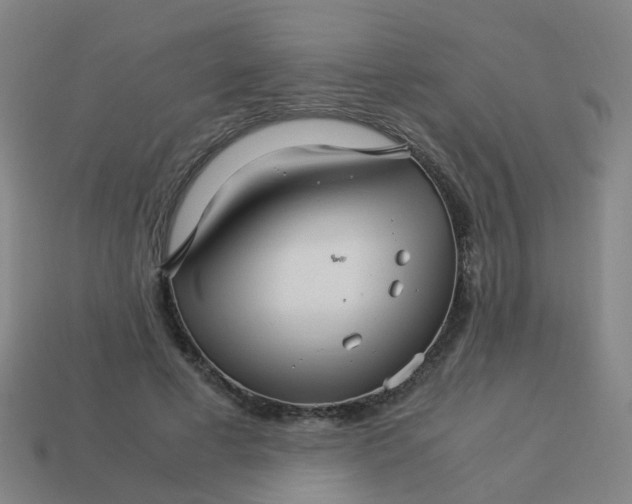 X0000113250593200910081320