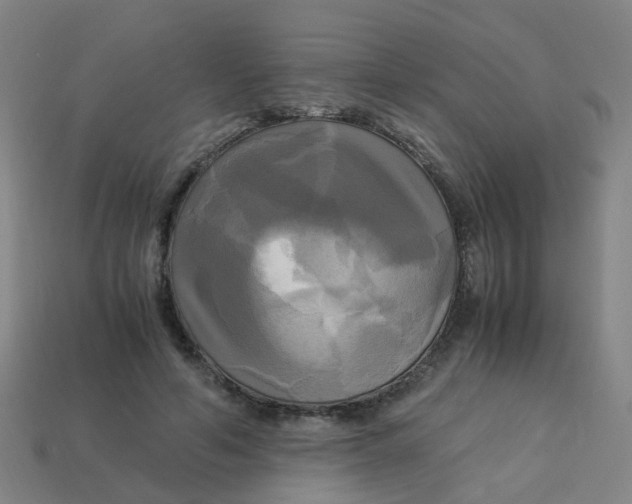 X0000113250594200910081320