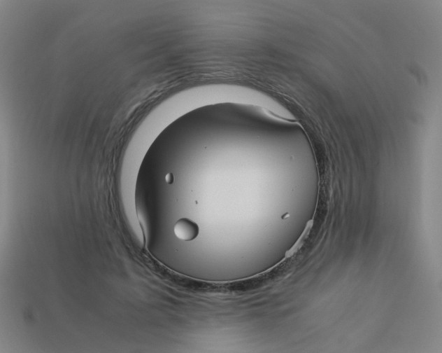 X0000113250595200910081320