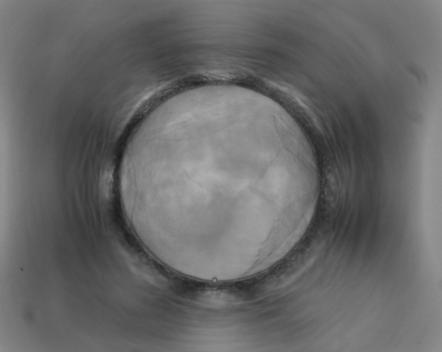 X0000113250596200910081320