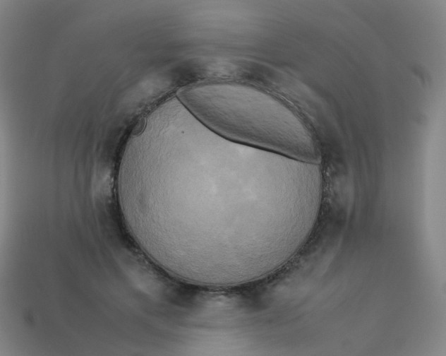 X0000113250597200910081320