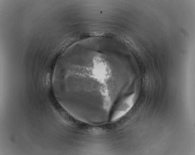 X0000113250598200910081320