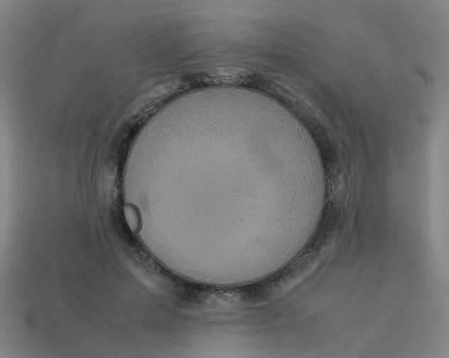 X0000113250599200910081320