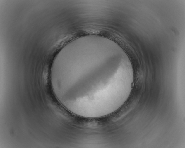 X0000113250600200910081320