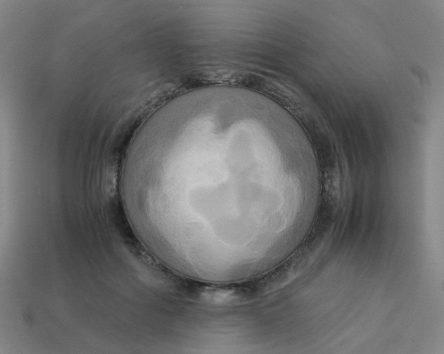 X0000113250602200910081320