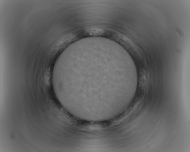 X0000113250604200910081320