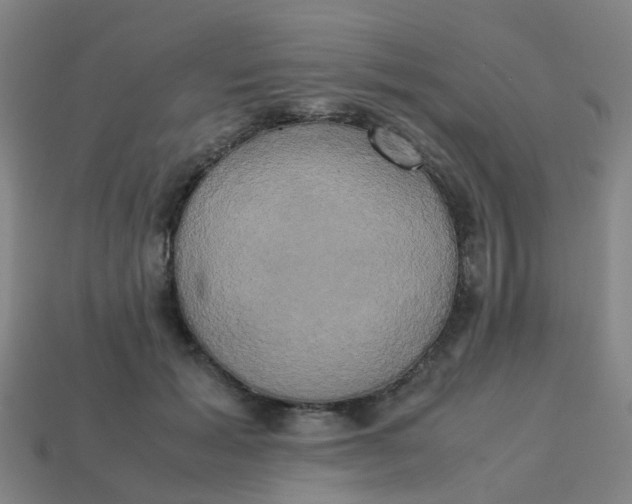 X0000113250605200910081320