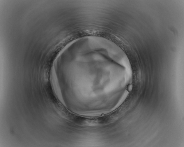 X0000113250606200910081320