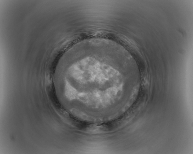 X0000113250607200910081320