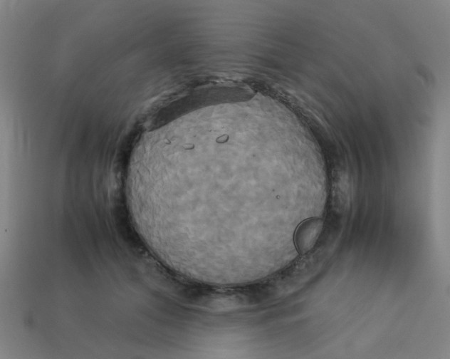 X0000113250608200910081320