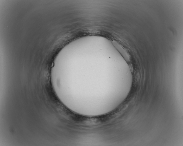 X0000113250609200910081320