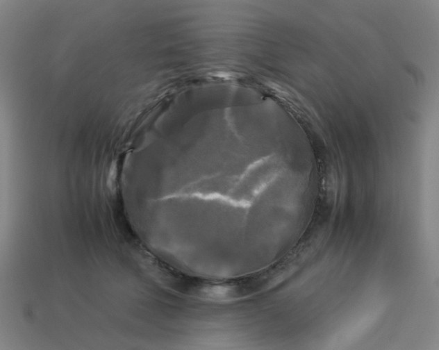 X0000113250610200910081320