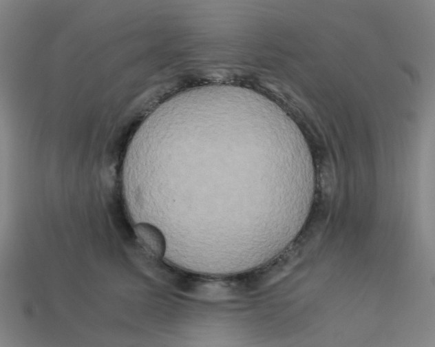 X0000113250611200910081320