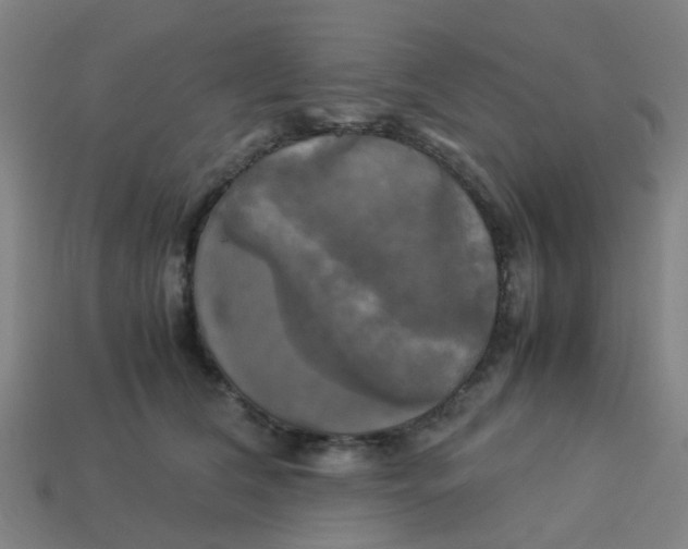 X0000113250612200910081320