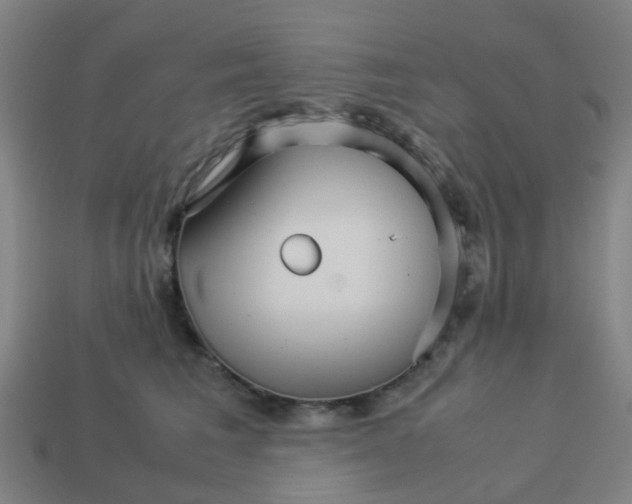 X0000113250613200910081320