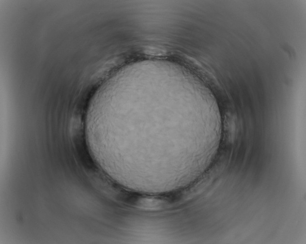 X0000113250614200910081320