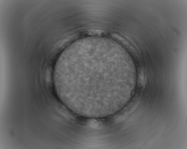 X0000113250616200910081320