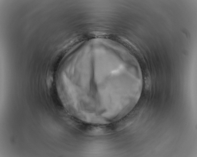 X0000113250618200910081320