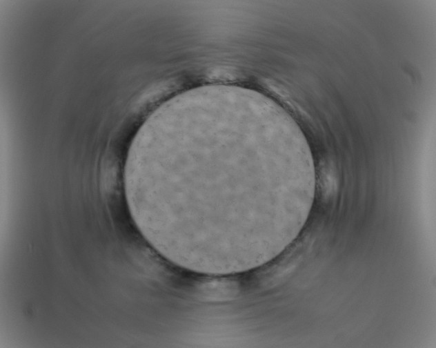 X0000113250619200910081320