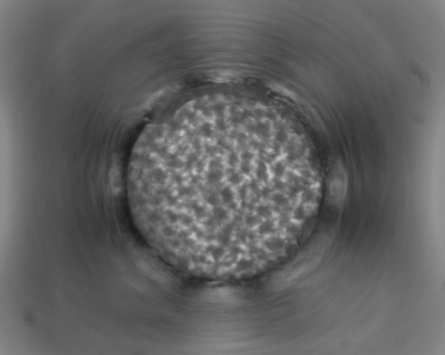 X0000113250620200910081320