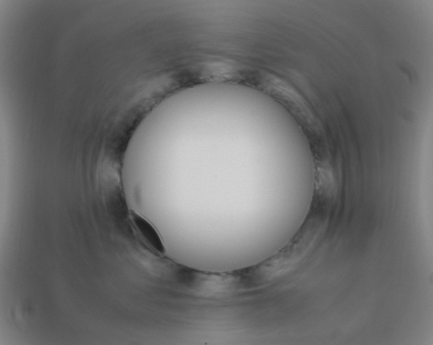 X0000113250621200910081320