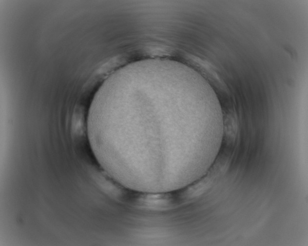 X0000113250622200910081320