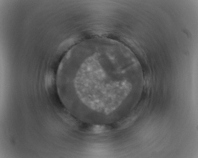 X0000113250623200910081320