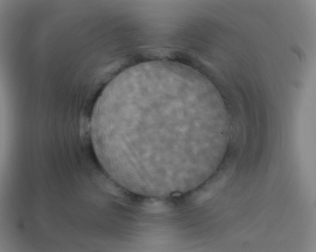 X0000113250624200910081320