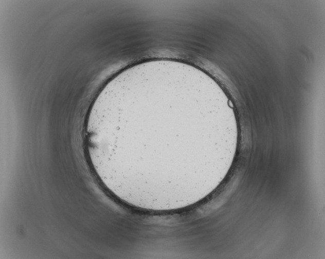 X0000113250625200910081319