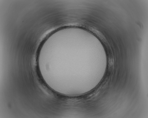 X0000113250628200910081319