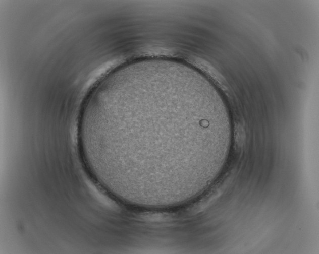 X0000113250629200910081319