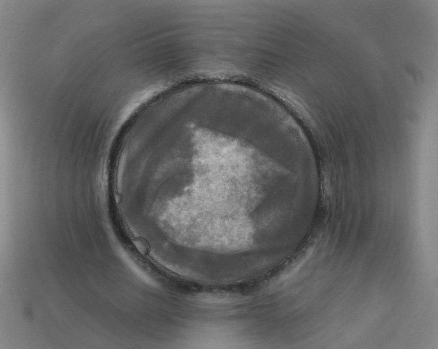 X0000113250630200910081319