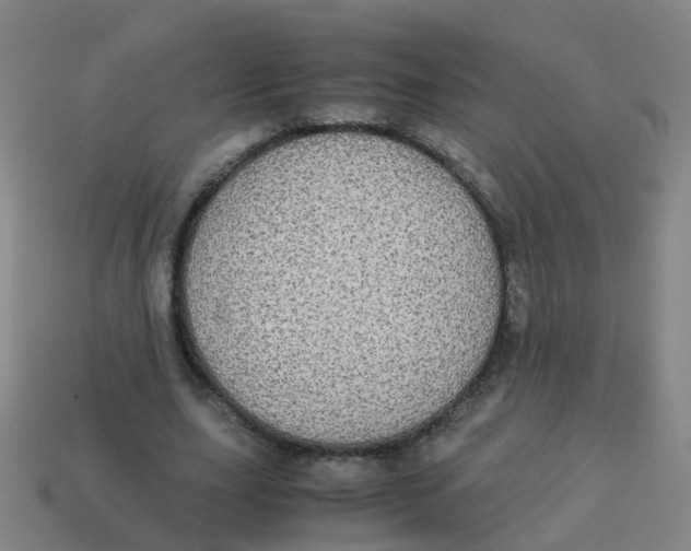 X0000113250631200910081319