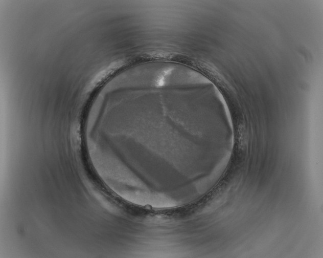 X0000113250634200910081319