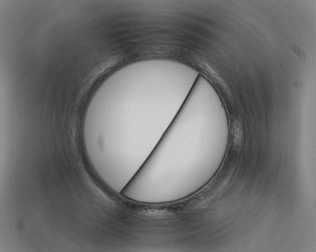 X0000113250637200910081319